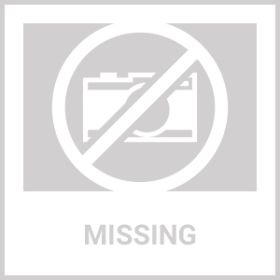 UV Ultraviolet Light LED Flashlight BlackLight 395nM Inspection Lamp Torch (Option: Default Title)